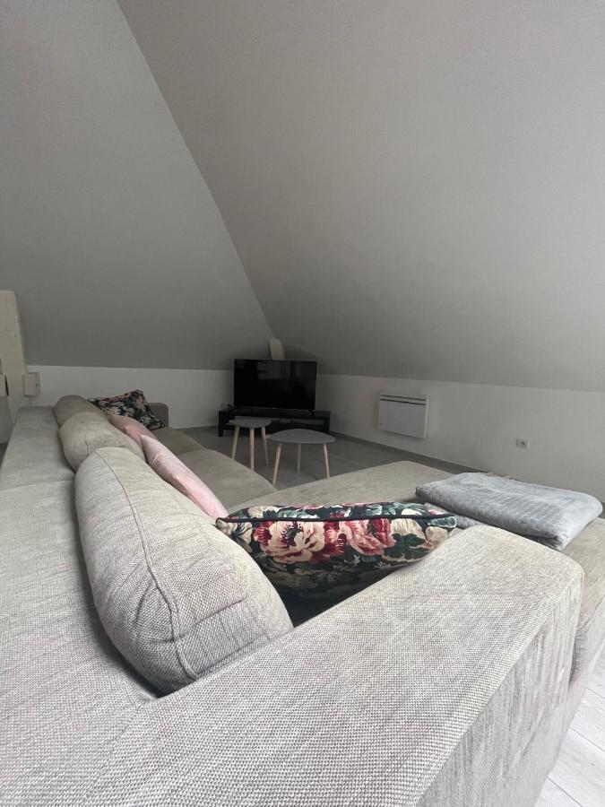 科尔马Dream Loft公寓 外观 照片